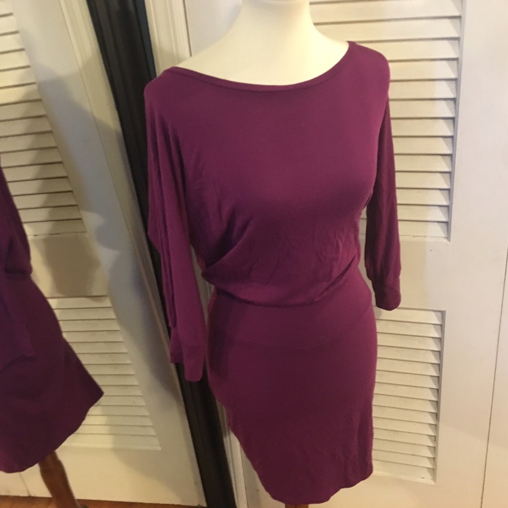Express sweater dress